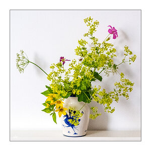 179/365 Lenny Kravitz – Flower Child © 2025 Sabine Lommatzsch