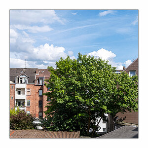 185/365 2raumwohnung – Cookies Cream (Hier ist der Sommer) © 2025 Sabine Lommatzsch