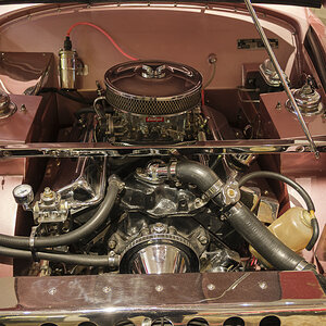 T51X0019-1.jpg
