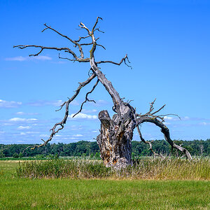 OFZ_01577.jpg