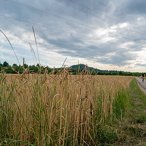 A7R03338.jpg