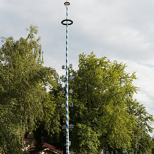 5. Maibaum ganz.jpg