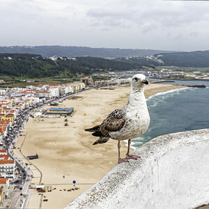 _D720260_DXO_1.jpg