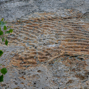 DSC_8025.jpg