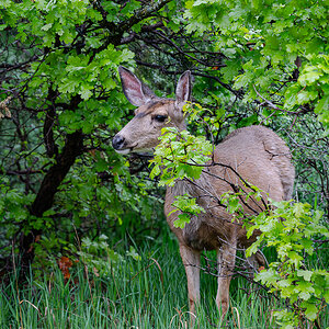 DSC_8076.jpg