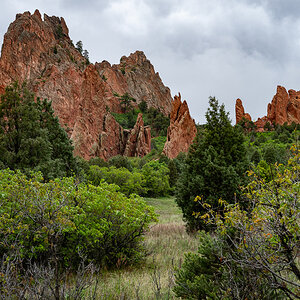 DSC_8088.jpg