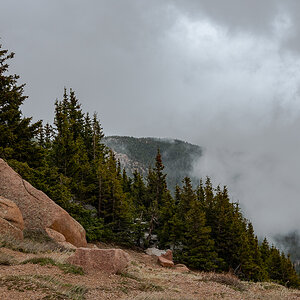 DSC_8114.jpg