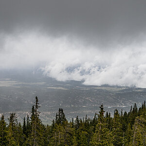 DSC_8115.jpg