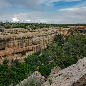DSC_8250.jpg