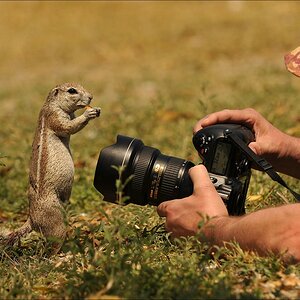 comp Namibia 09 17990
