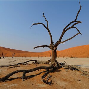 comp Namibia 09 01580a