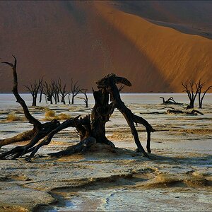 comp Namibia 09 01894a