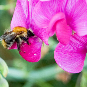 Nikon D40 mit Kit AF-S 18-55mm 1:3.5-5.6 GII
55.0mm, 1/200s, f/5.6, ISO200

Unschärfe dank Forensoftware.