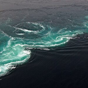 saltstraumen 3.mai 08 181 2