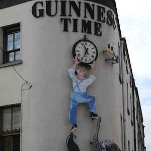 Guinness time
