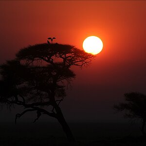 comp Namibia 09 15005