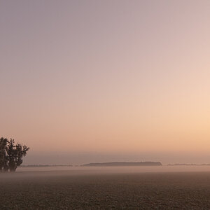 herbst 1198