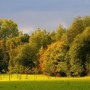 Herbstimpressionen