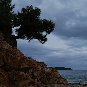 Potos auf Thassos