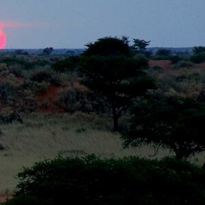 Sonnenuntergang3