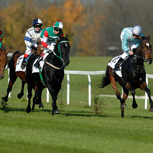 20091101 135225 galopp muenchen