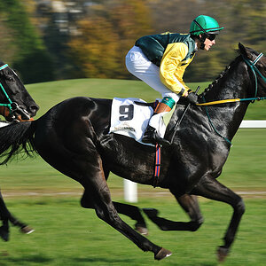 20091101 135237 galopp muenchen 04