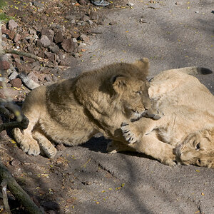 zoo