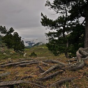 schweiz01 (1)