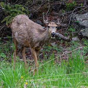 DSC_8682.jpg