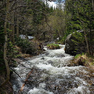 DSC_8779.jpg