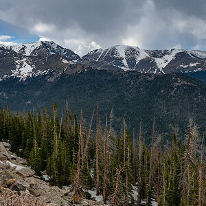DSC_8880.jpg