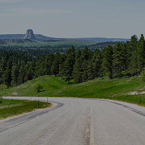 DSC_8889.jpg