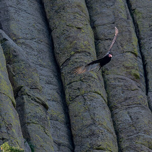 DSC_8967-Verbessert-RR.jpg