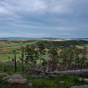 DSC_9014.jpg