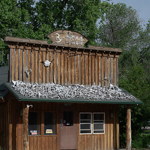 DSC_9077-Bearbeitet.jpg