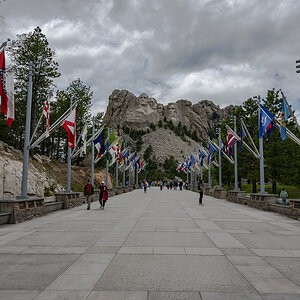 DSC_9266.jpg
