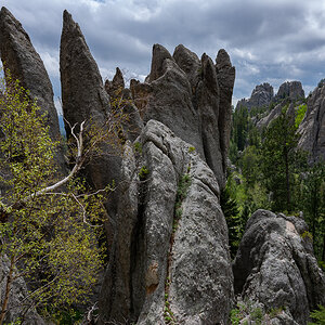 DSC_9274.jpg