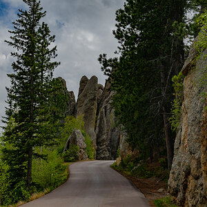 DSC_9277.jpg