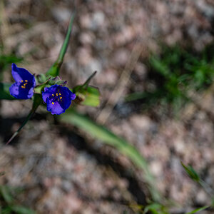 DSC_9468.jpg