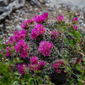 DSC_9483.jpg