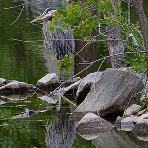 DSC_9538.jpg