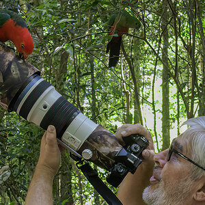 2022-12-06 31 Lothar with Australian King Parrot.jpg