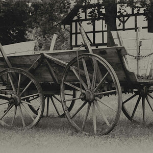 Leiterwagen BW.jpg