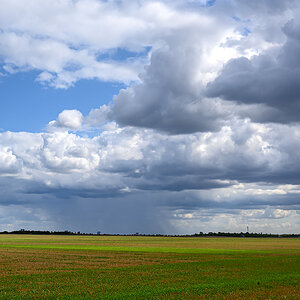 OFZ_01817.jpg