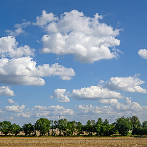 OFZ_01836.jpg