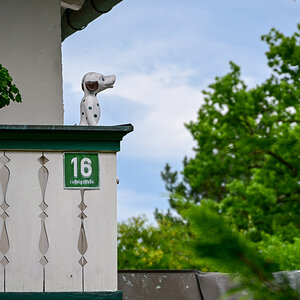 DSC_2329.jpg