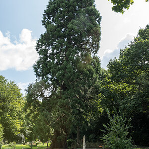 250806-002.jpg