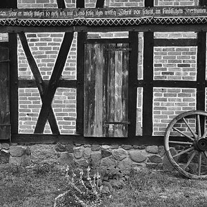 Wagenrad NX BW.jpg