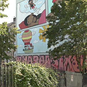 WKZ_5749_NF_dim 95.JPG