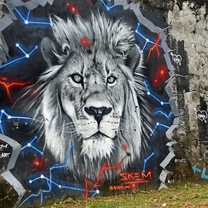 guadeloupe_graffiti_5.jpg